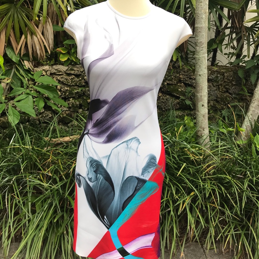 Clover Canyon Red Floral Dress